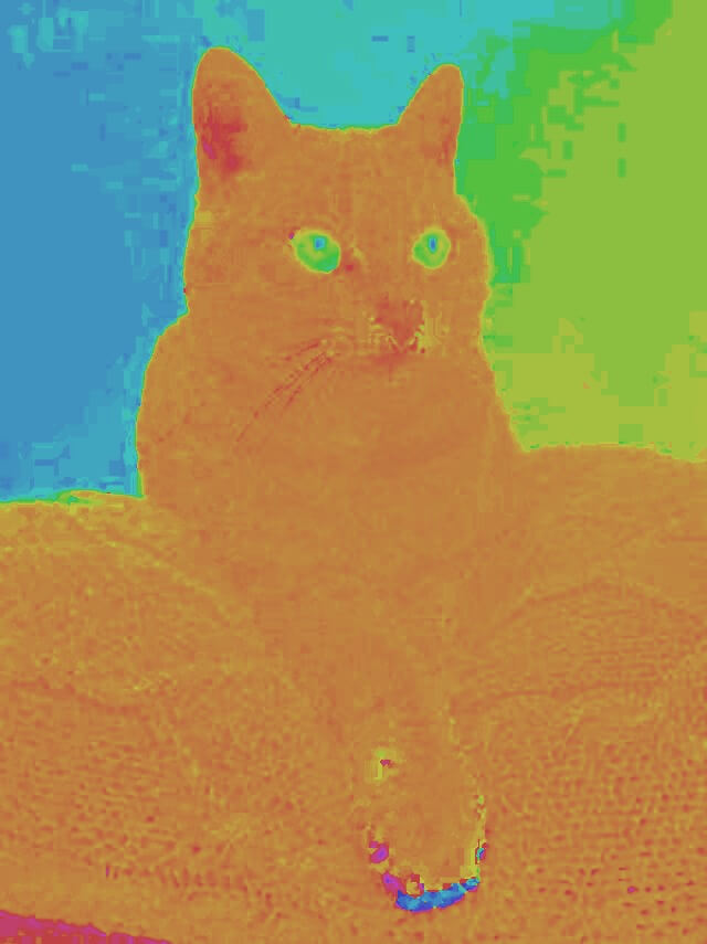 In this example, we extract the hue channel from a JPEG picture of a relaxed cat. The hue component specifies the exact color that is used in the picture, i.e. it is red, blue, yellow, green, and all other colors. This channel doesn't show the intensity of the color and doesn't darken or lighten the pixels. As the JPEG picture is compressed and has artifacts, this channel is useful for detecting fake pictures as all artifacts and modifications will instantly stand out. (Source: Pexels.)