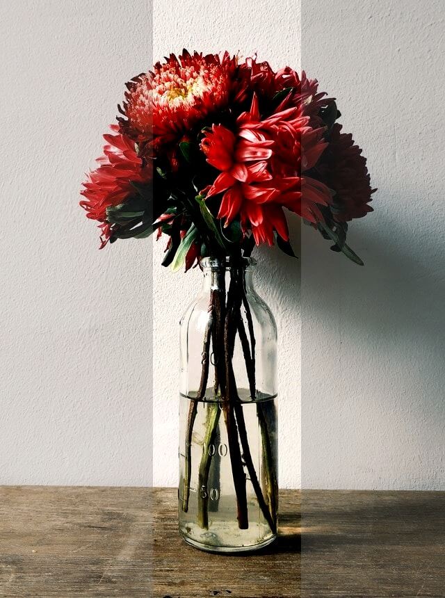 In this example, we add an interesting effect to a JPEG photo of flowers in a vase. This interesting effect creates a high contrast line in the middle of the photo. We set the beginning of the contrast area to the point (220, 0), stretch it to JPEG's full height, and set the width to 213 pixels. Thus, we get a neat strip in the middle of the JPEG with the contrast being 80% greater than the rest of the photo. (Source: Pexels.)