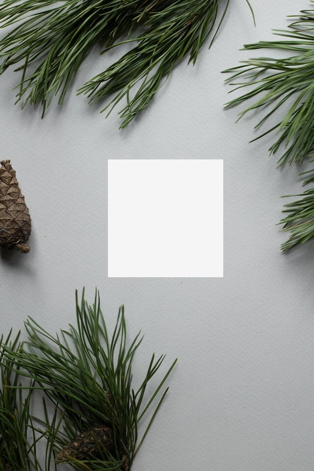 In this example, we white out an area in the center of a JPEG image of a holiday card. We use the solid color fill method with the whitesmoke color and clear the space for a new message on the card. (Source: Pexels.)