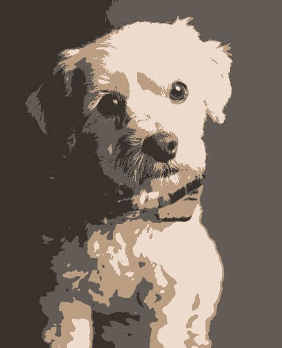 In this example, we convert a full-color JPG photo of a medium-coated dog to a four-color JPG. The conversion algorithm automatically analyzes the input photo and creates an optimal color palette with four colors and re-paints the original JPG with these four colors. Even though there are just four colors in the output JPG, it conveys the shape, style, and details of the dog using continuous color segments. (Source: Pexels.)