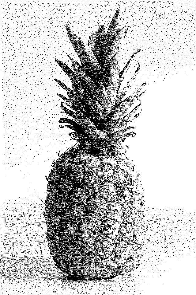 In this example, we create a binary pixel art drawing of a pineapple. The original image has its number of colors reduced to just 1-bit and this way in the output we get an image that contains only black and white pixels. We enter the color names in the options and choose the dithering mode that uses the "Burkes" optimization method. (Source: Pexels.)
