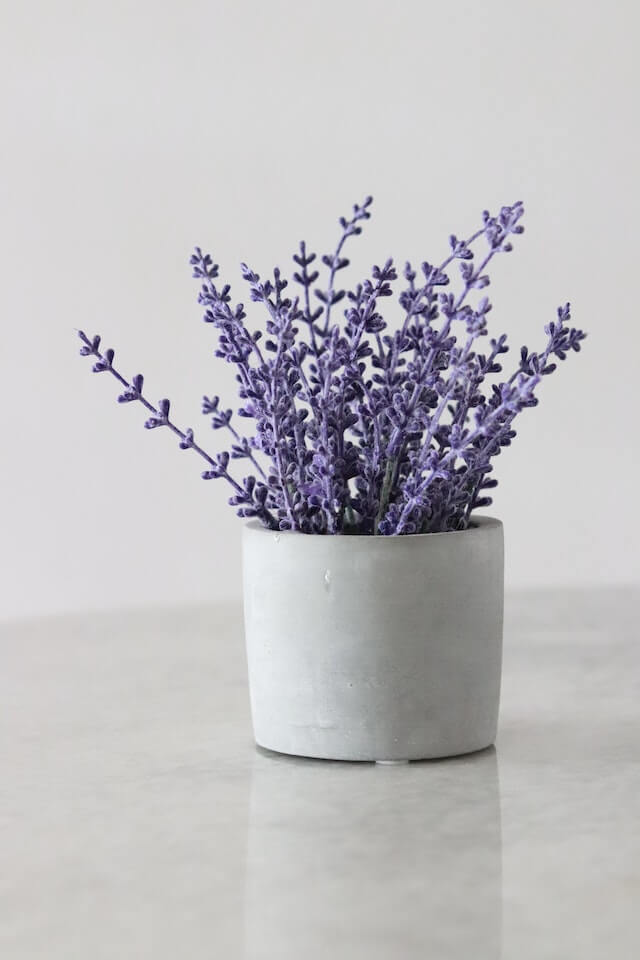 This example creates a JPEG with the correct aspect ratio for a YouTube profile picture. It uses the "Maintain Original Size" mode and crops the JPEG of purple flowers without zooming or resizing it. The YouTube profile picture is 800 by 800 pixels and has a 1:1 aspect ratio, but since we disable the zoom/resize operation, we end up with a 640 by 640 pixel JPEG that also has a 1:1 aspect ratio. (Source: Pexels.)