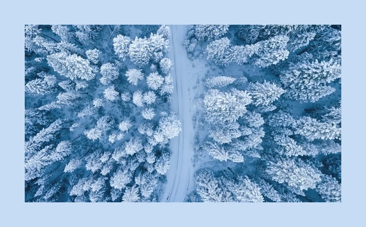 In this example, we get rid of a frame around an aerial JPG image of snow-covered trees. The edge width on each side of the image is the same, so we enter a value of 50 pixels in the left, right, top, and bottom border width options. (Source: Pexels.)